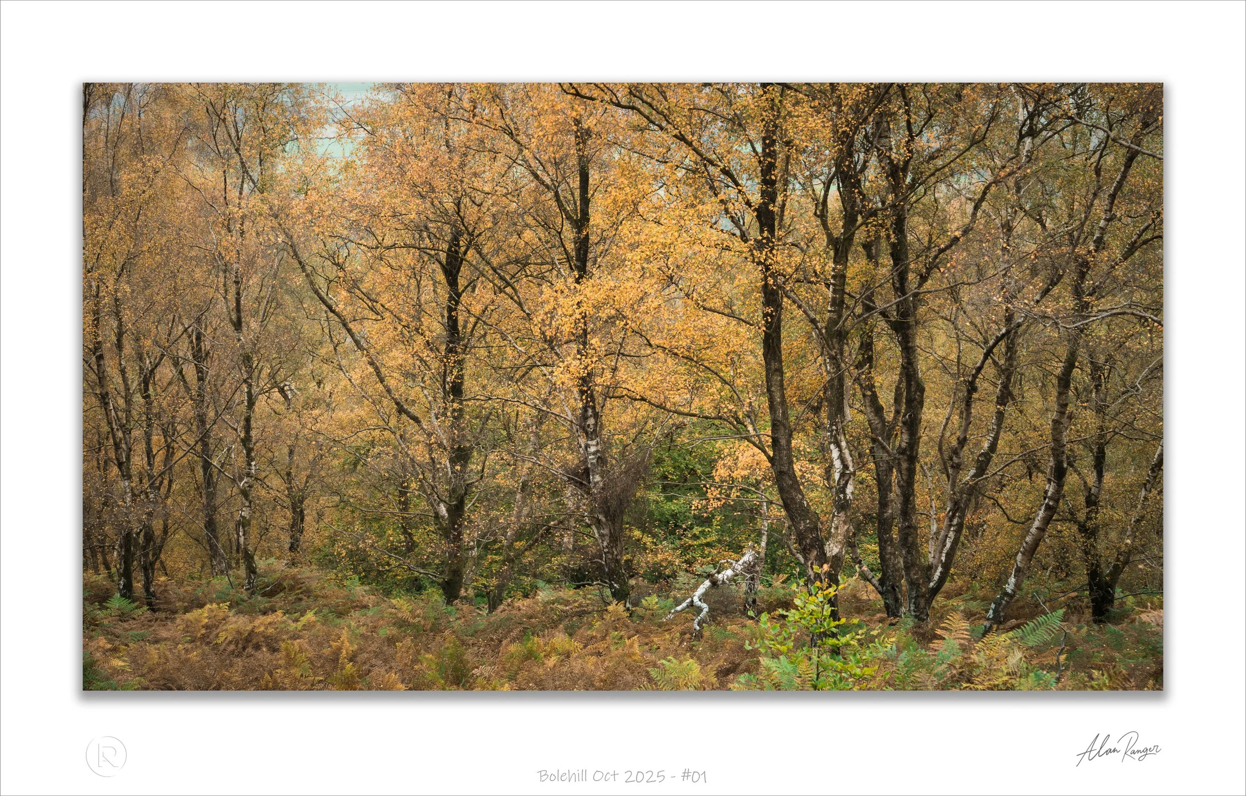 Bolehill Oct 2025 - #01.jpg