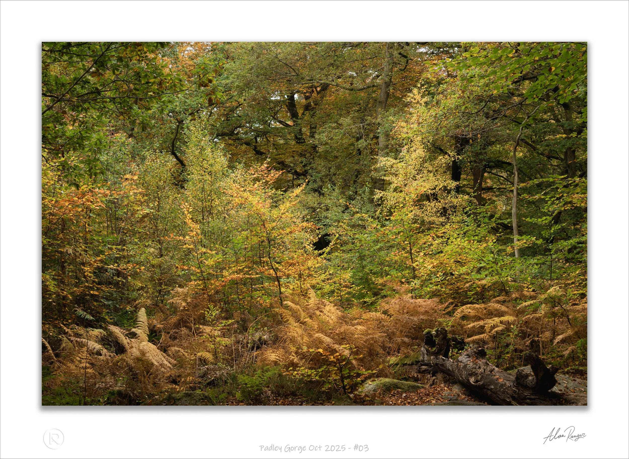 Padley Gorge Oct 2025 - #03.jpg