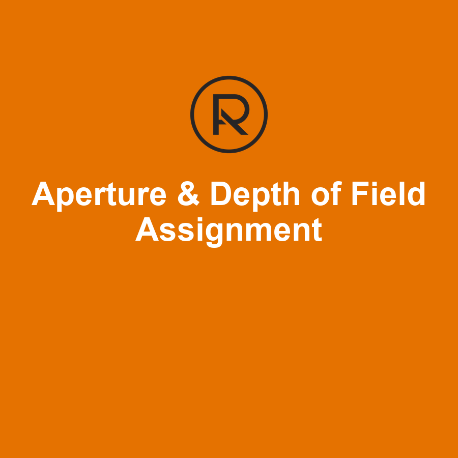 Aperture and Depth of Field Photography Assignment