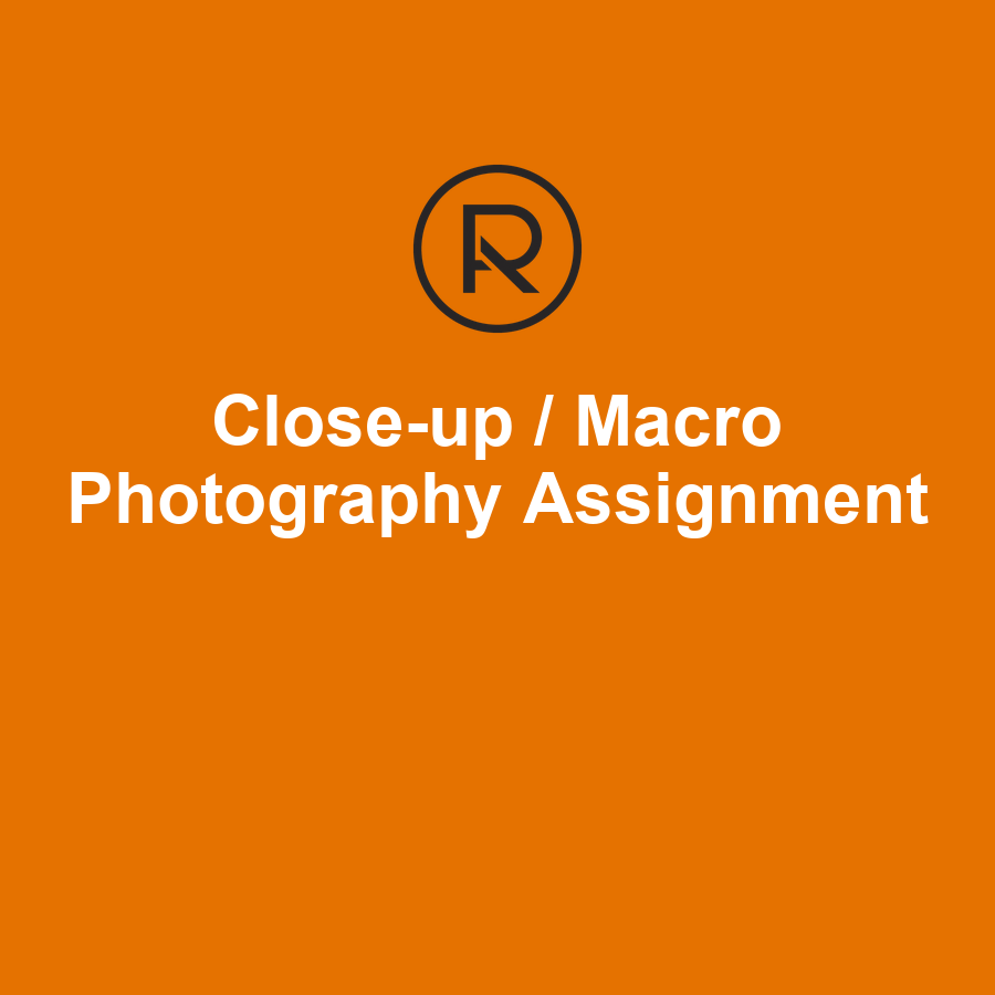 Closeup Macro Photography Practice Assignment- Free Lesson