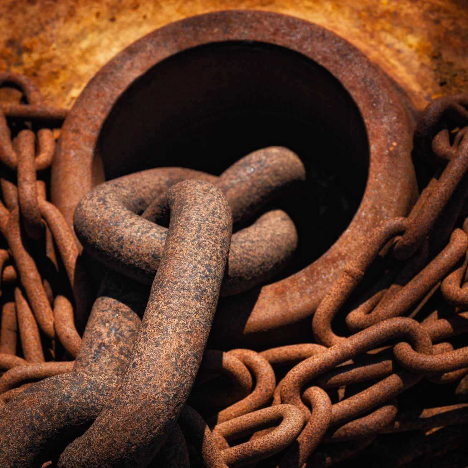 Macro Photography for Beginners: A UK Starter's Guide