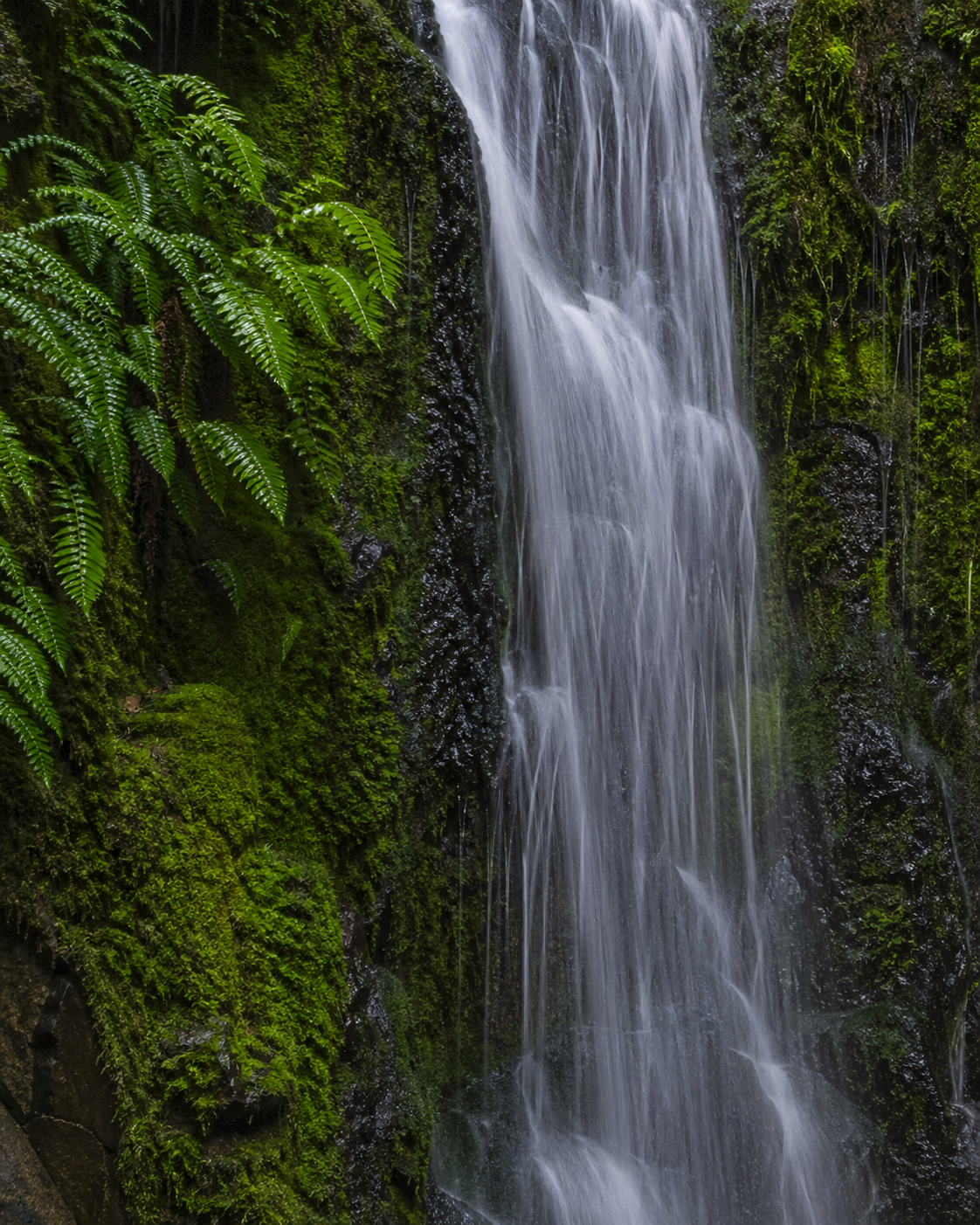 UK Waterfall Photography: A Complete Field Guide 2026