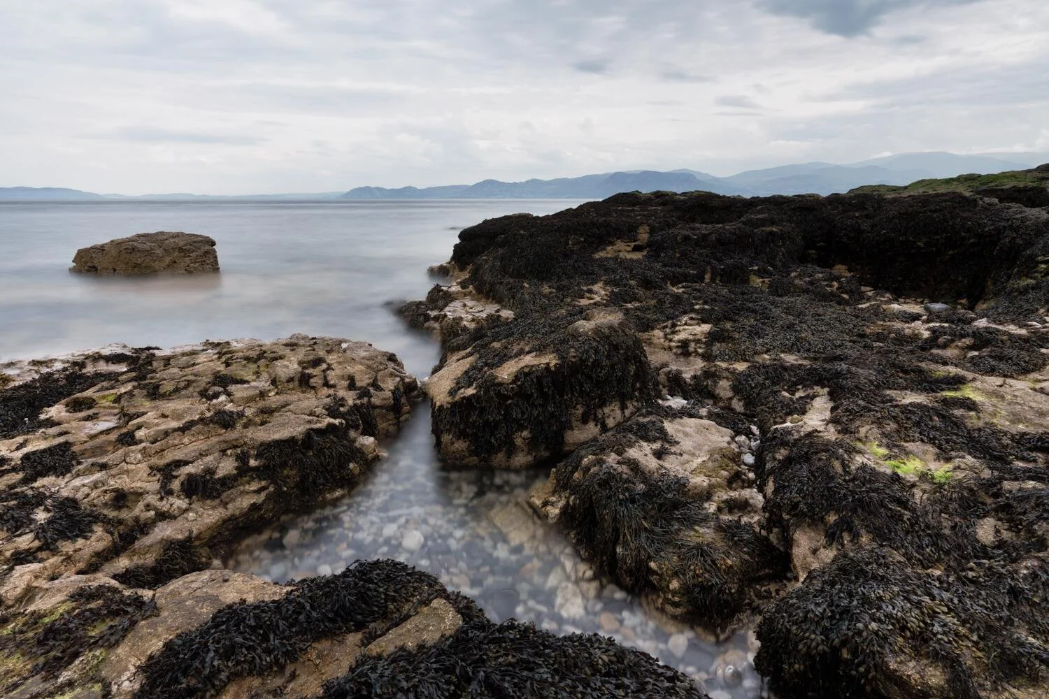 Anglesey May 2026 - #03.jpg