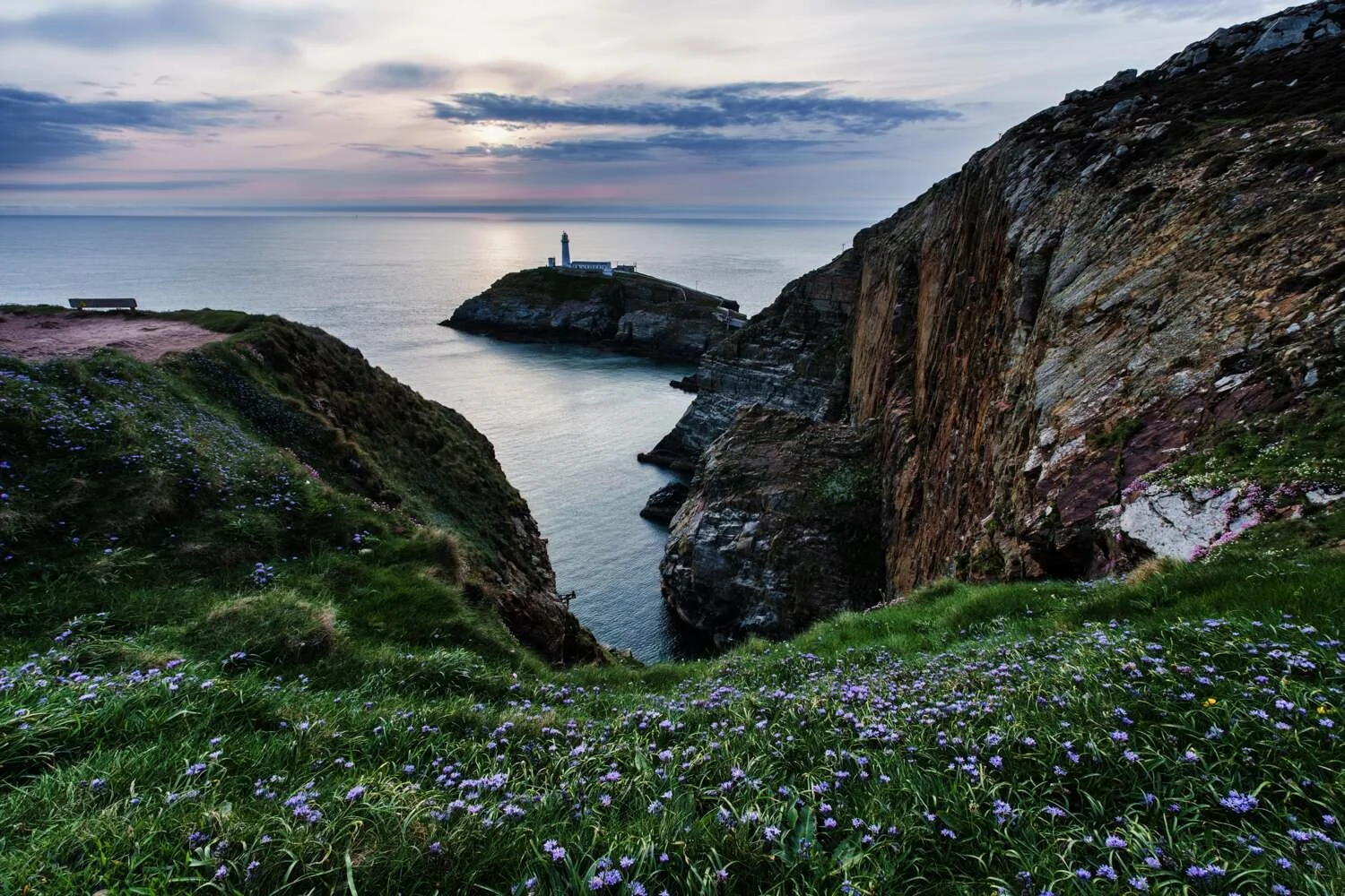 Anglesey May 2026 - #05.jpg