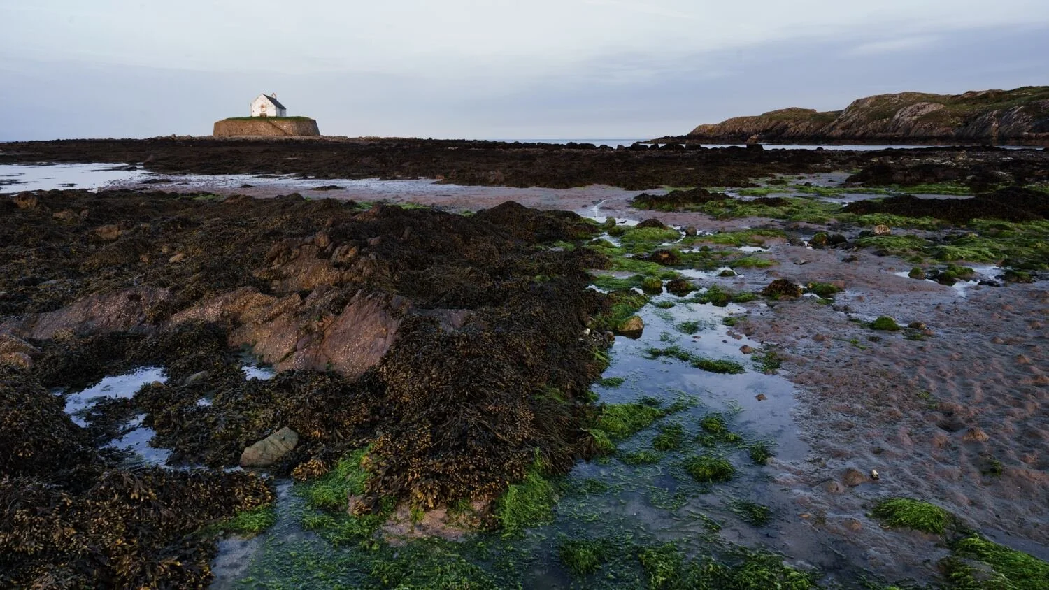 Anglesey May 2026 - #07.jpg
