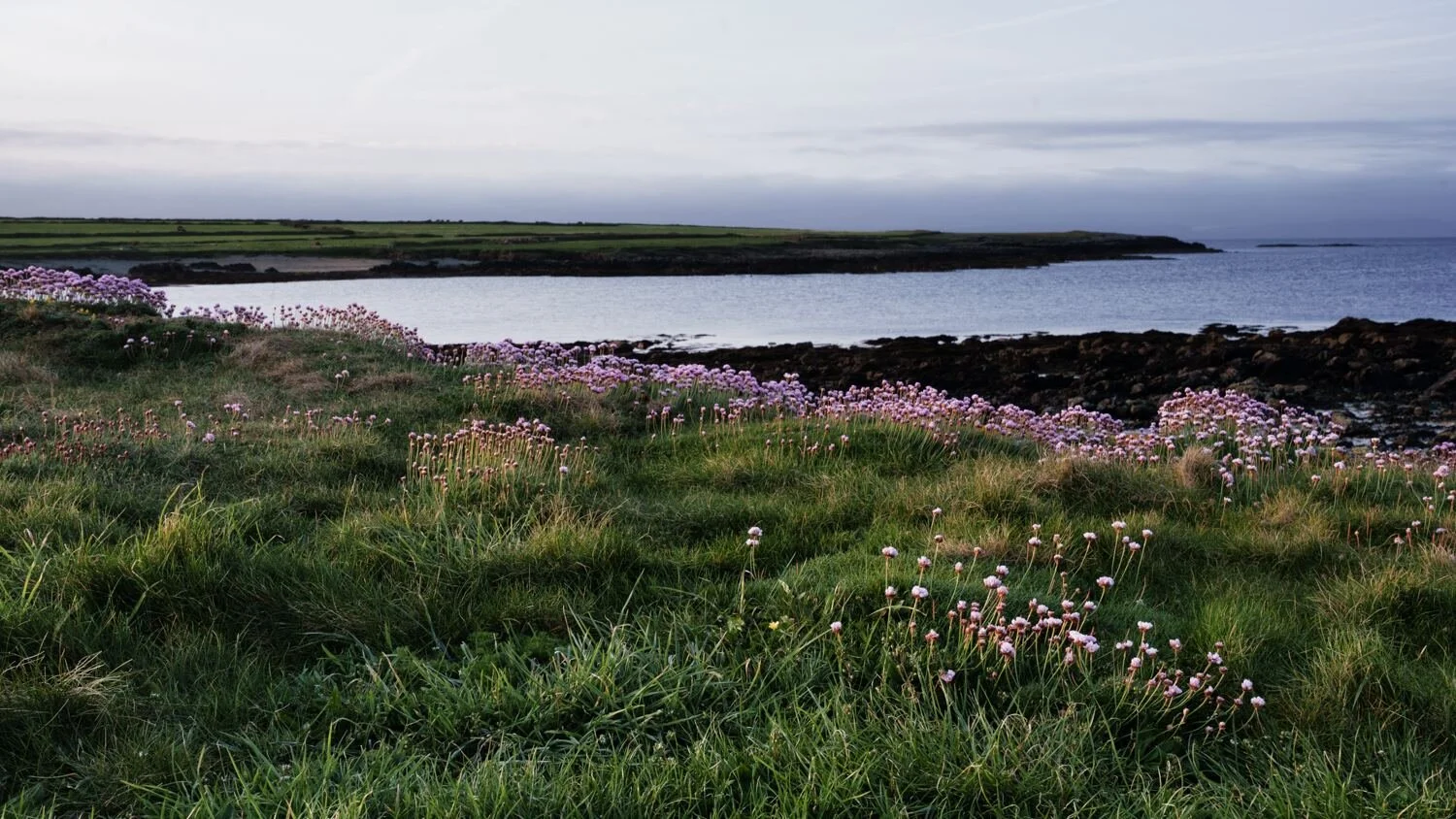 Anglesey May 2026 - #10.jpg