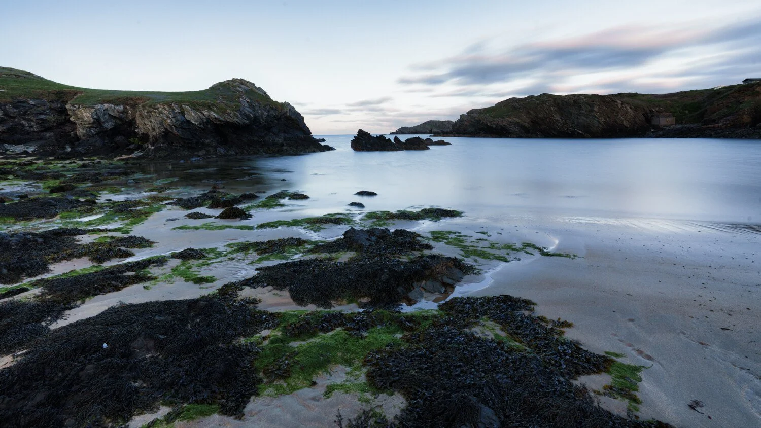 Anglesey May 2026 - #12.jpg
