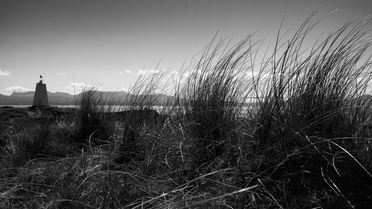 Anglesey May 2026 - #16.jpg