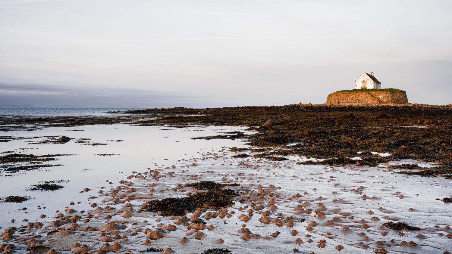 Anglesey May 2026 - #17.jpg