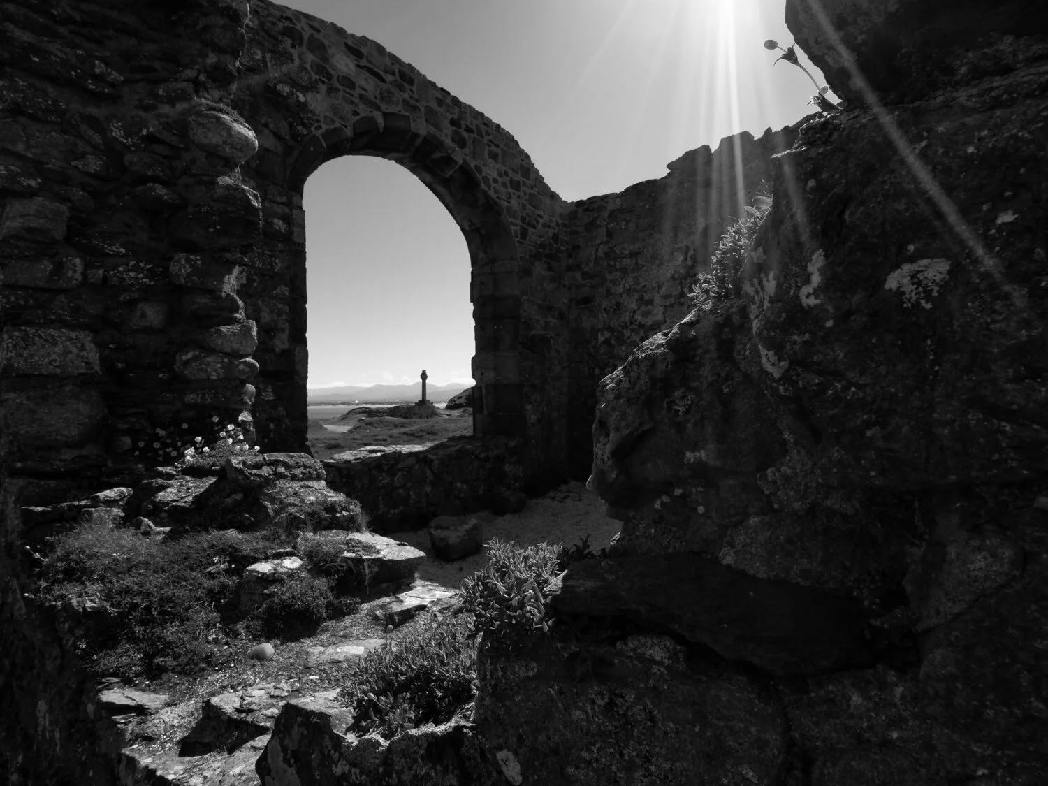 Anglesey May 2026 - #28.jpg