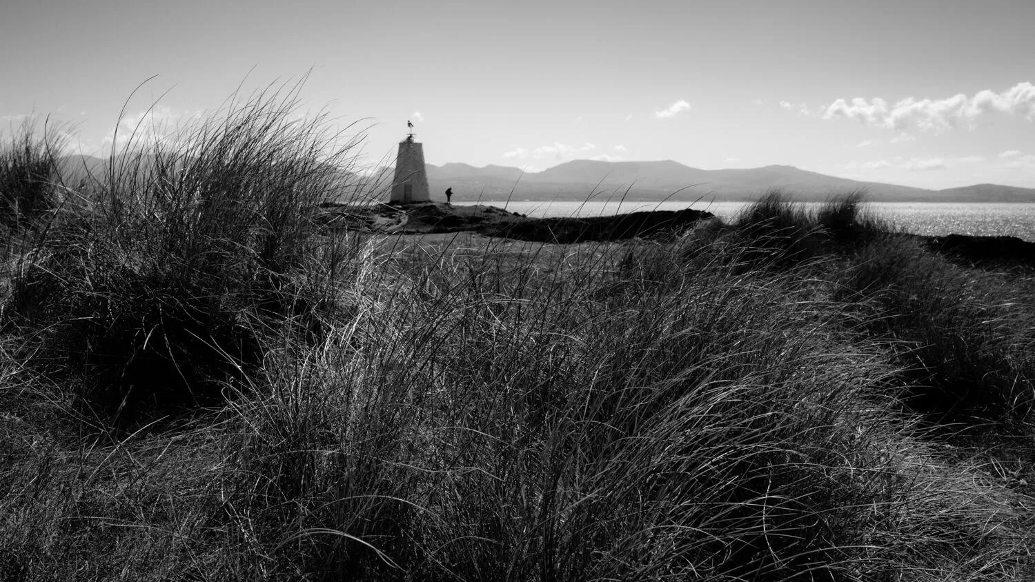Anglesey May 2026 - #30.jpg