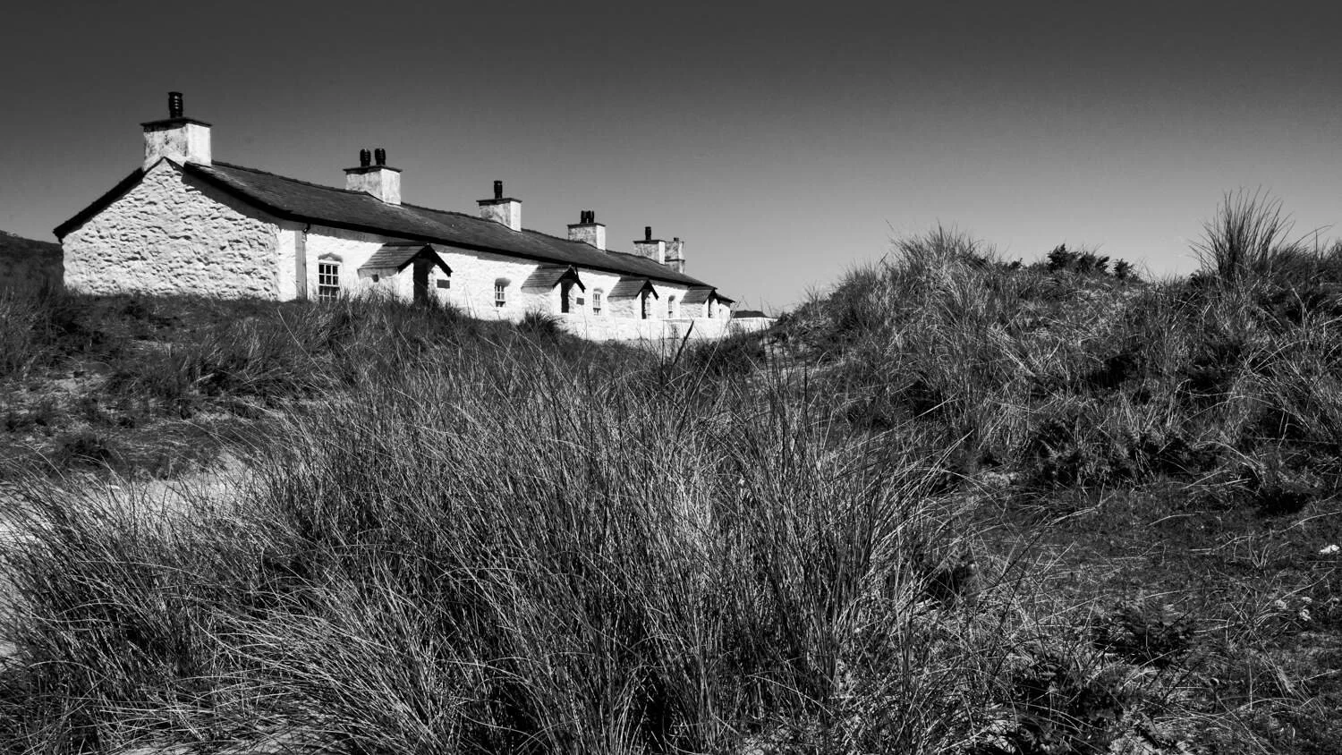 Anglesey May 2026 - #31.jpg