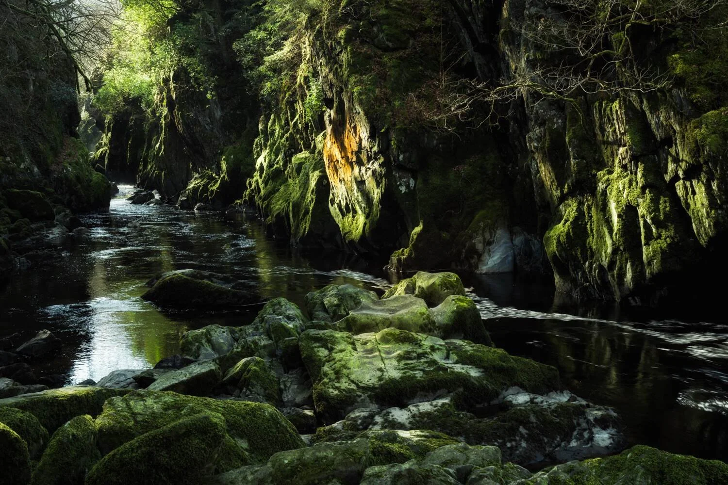 Fairy Glen - Mar 2026 - #01.jpg
