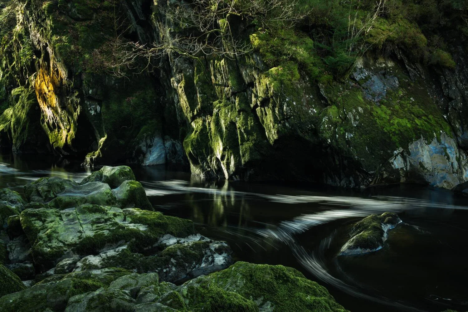 Fairy Glen - Mar 2026 - #02.jpg