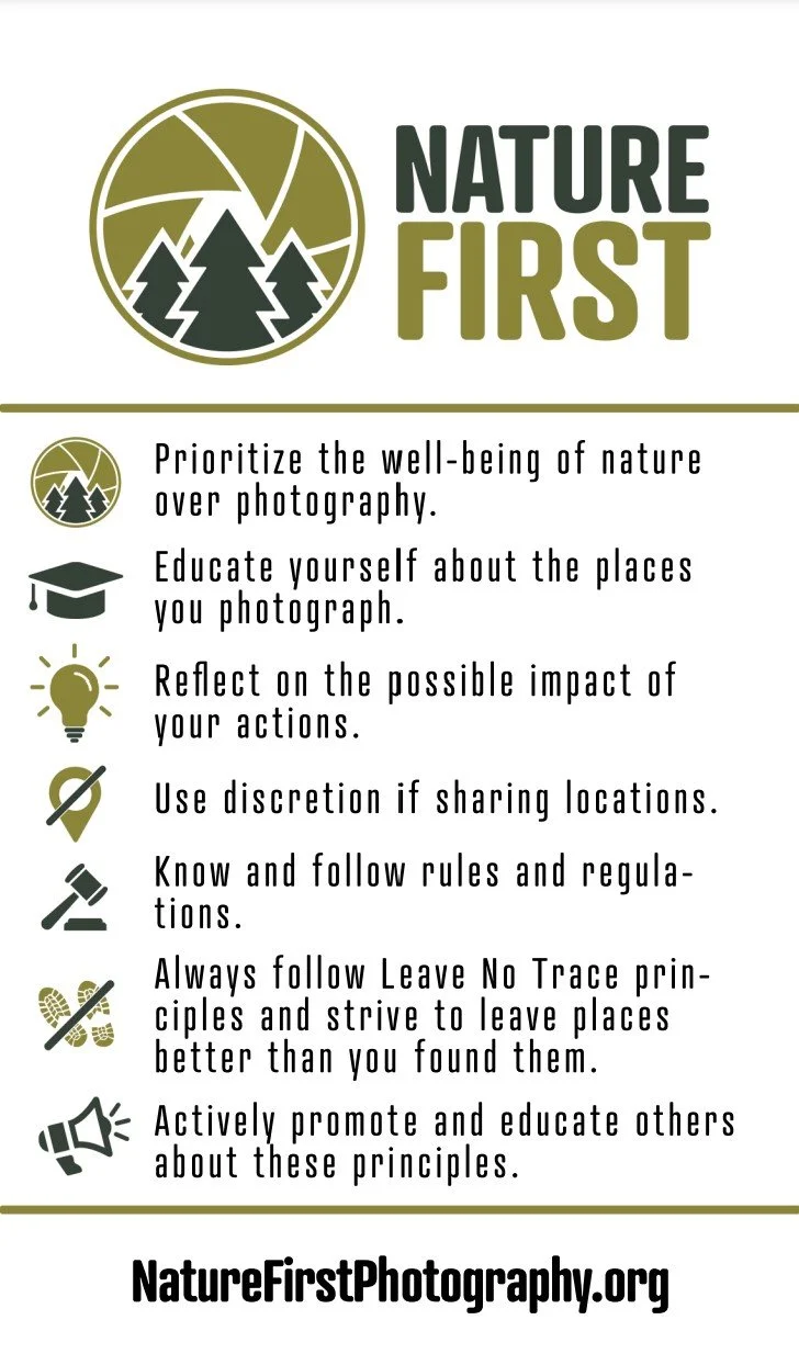 Nature First principles — the alliance for responsible nature photography