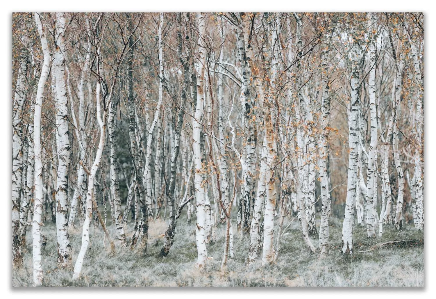 Peak District - Nov 2016.jpg