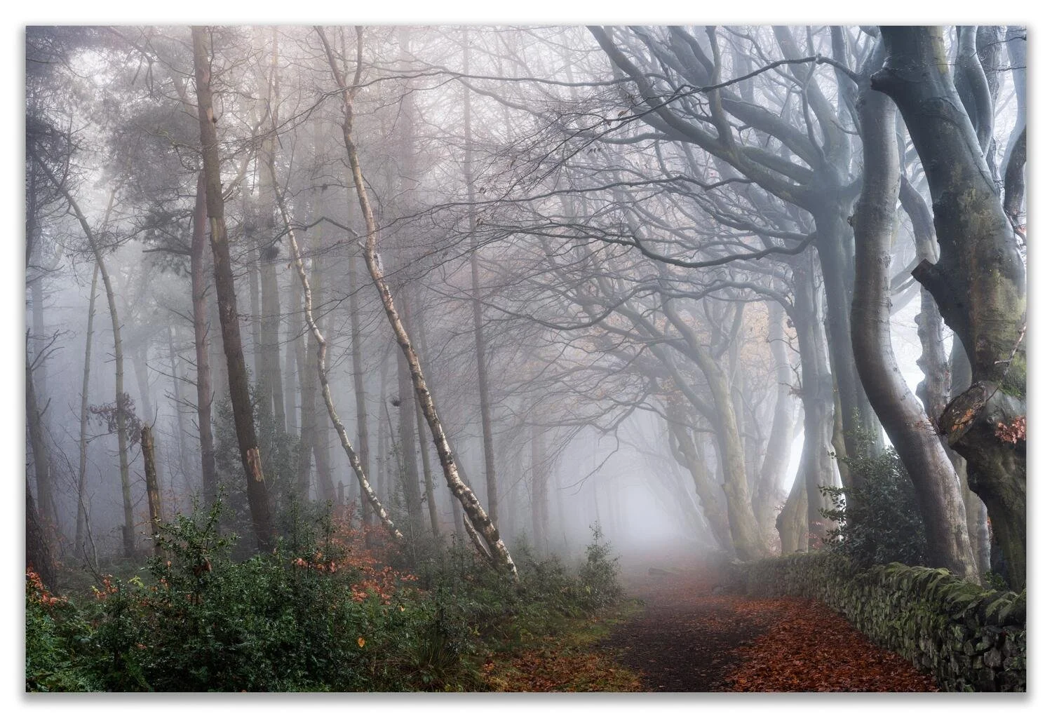 Derbyshire Dales #09 - Nov 2022.jpg