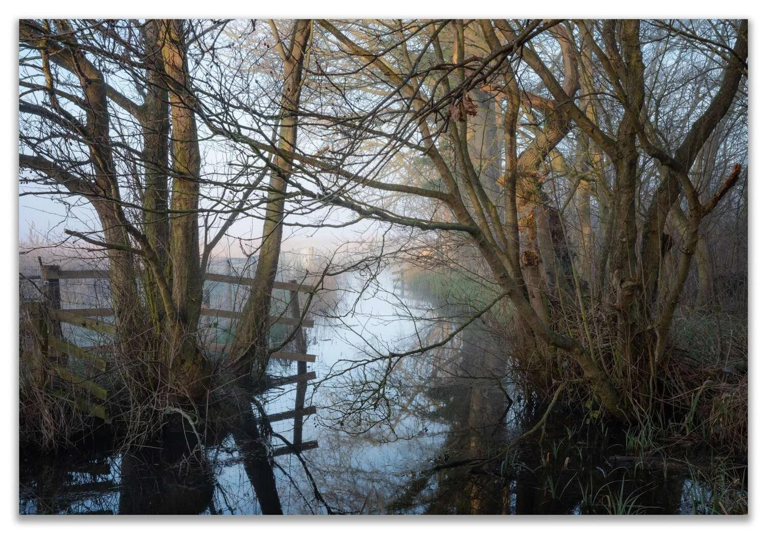 Blythburgh #03 - Feb 2024.jpg