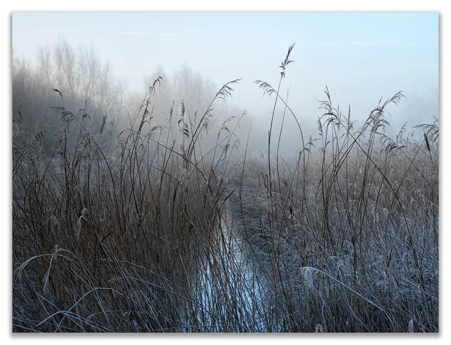Blythburgh #02 - Feb 2024.jpg