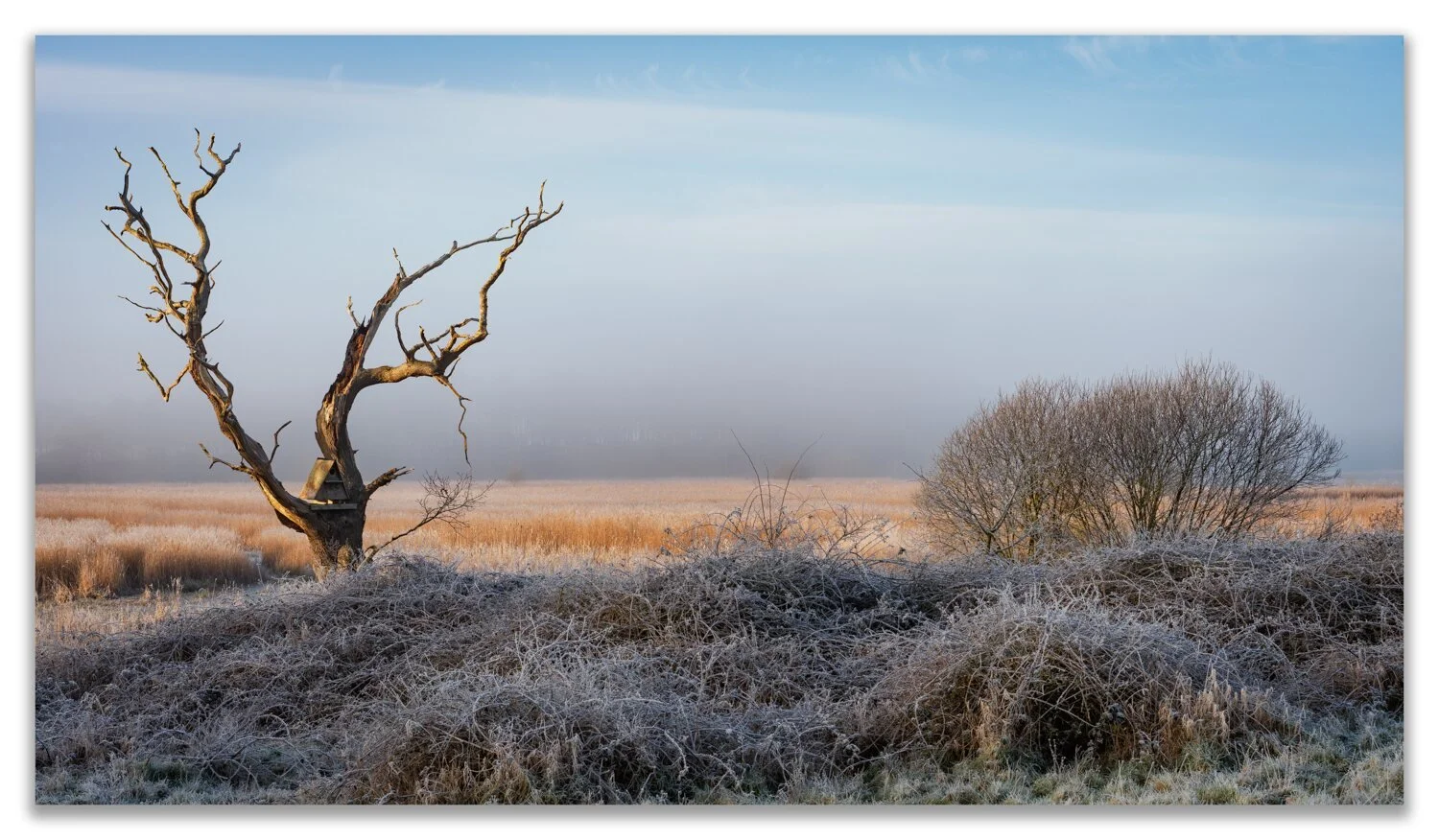 Blythburgh #07 - Feb 2024.jpg