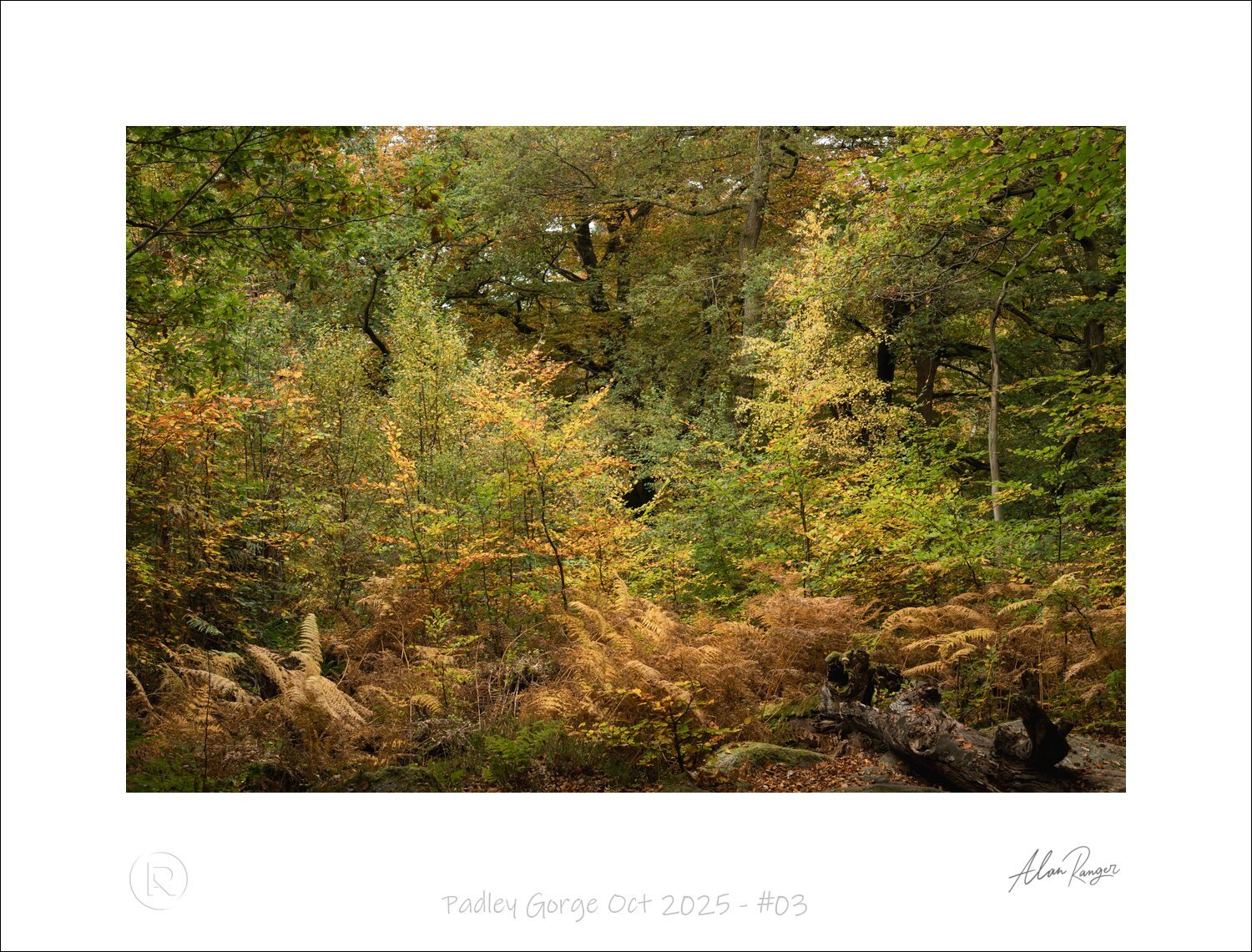 Padley Gorge Oct 2025 - #03.jpg