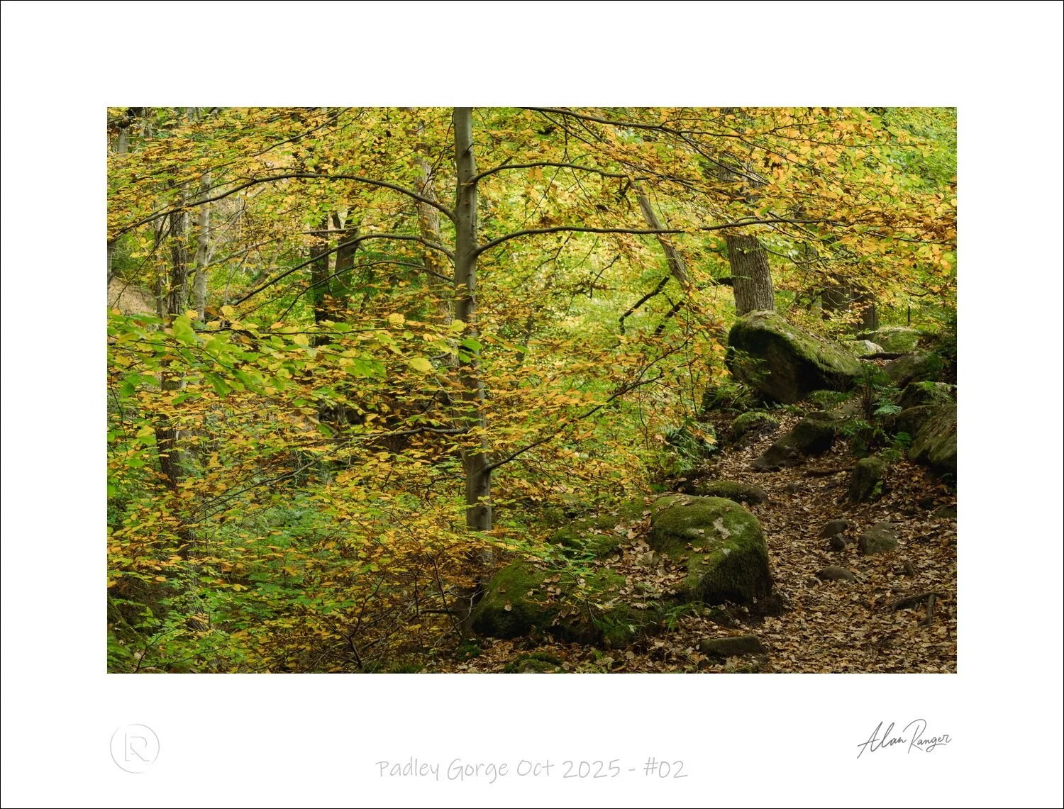 Padley Gorge Oct 2025 - #02.jpg