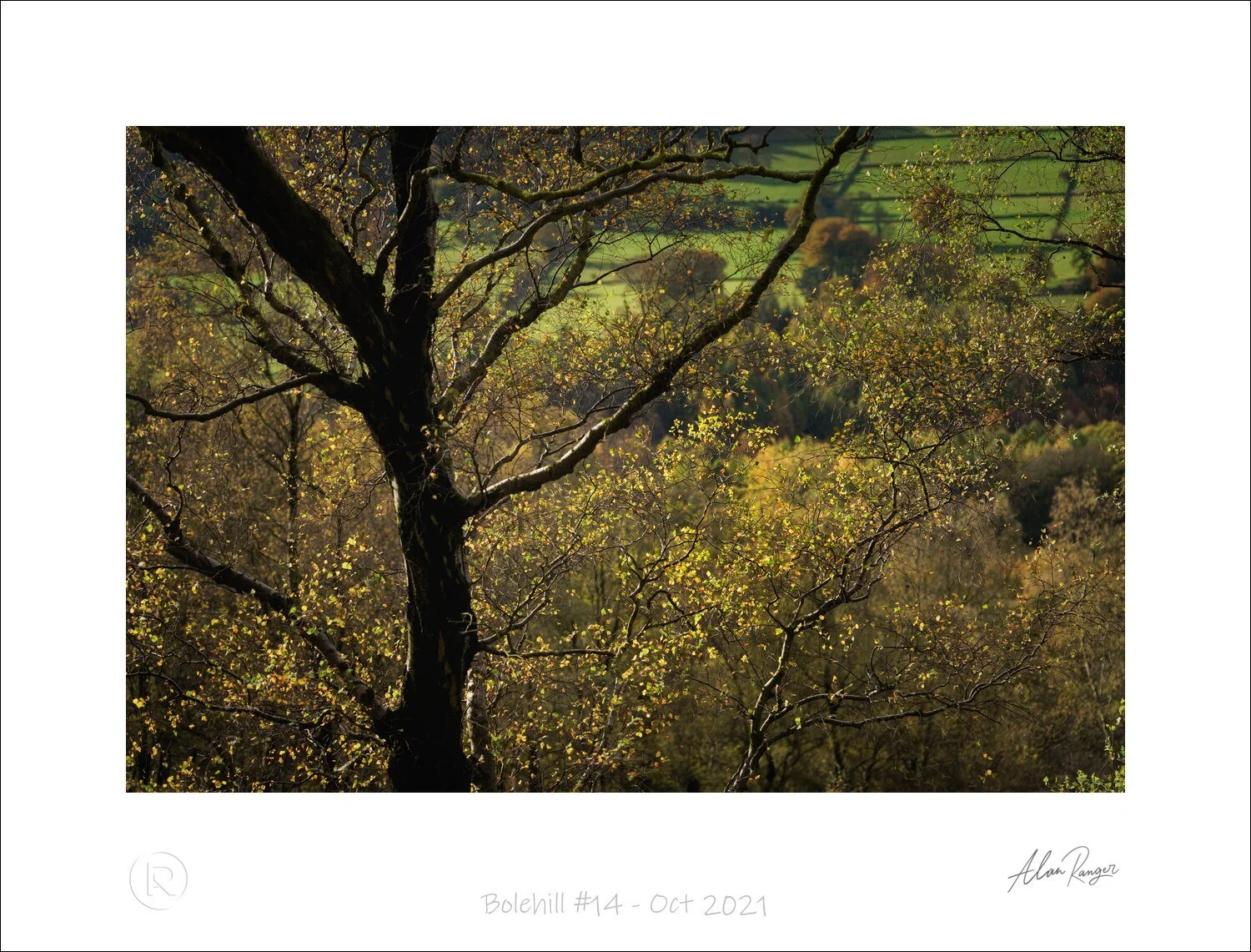 Bolehill #14 - Oct 2021.jpg