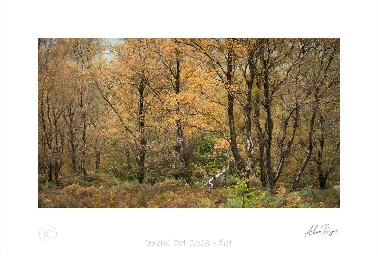Bolehill Oct 2025 - #01.jpg