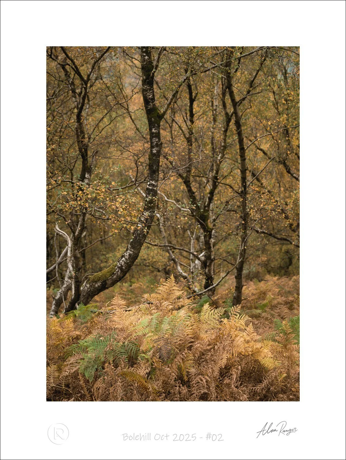 Bolehill Oct 2025 - #02.jpg