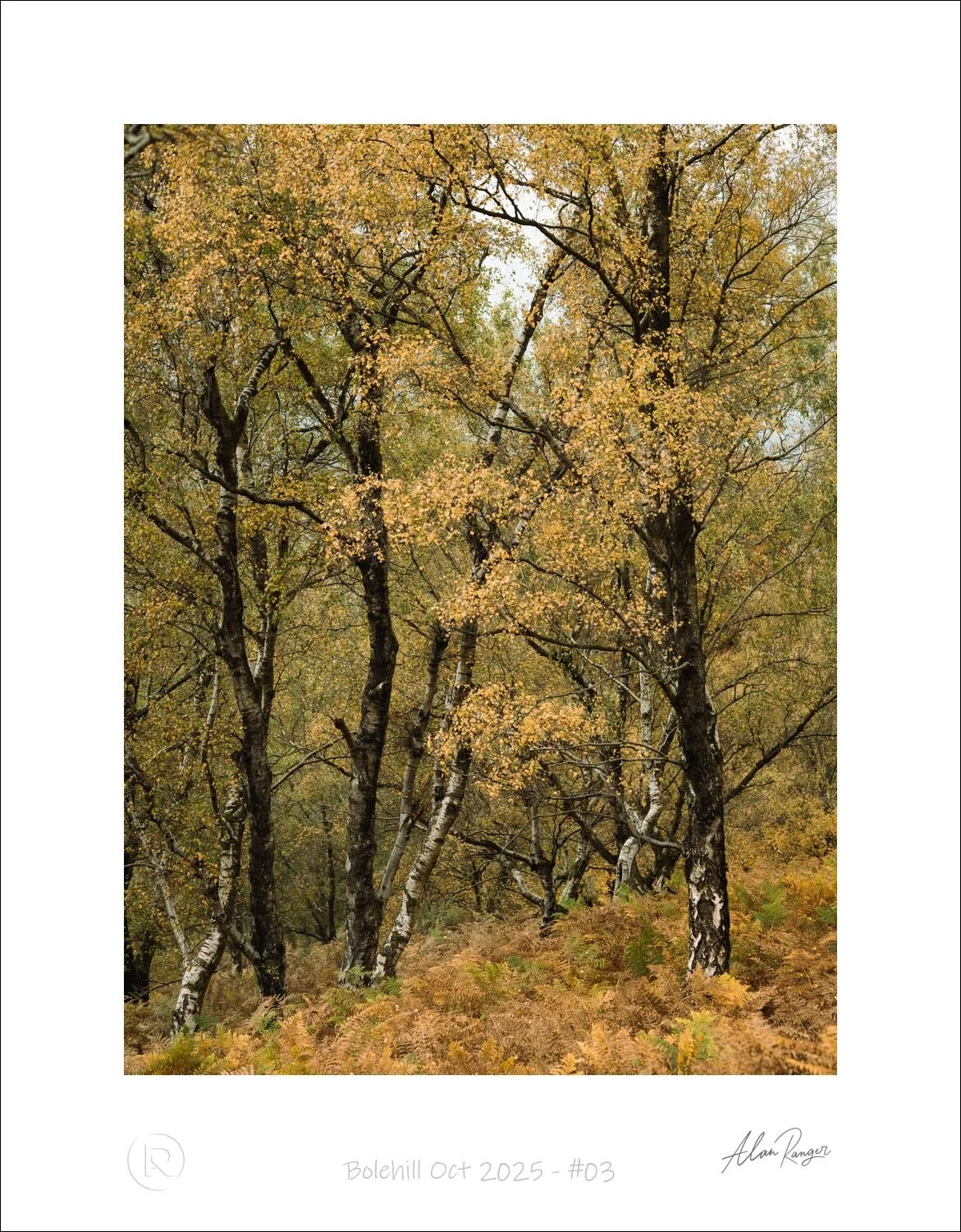 Bolehill Oct 2025 - #03.jpg