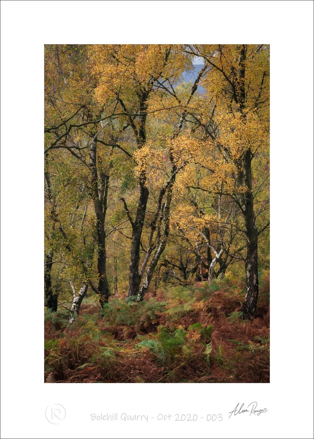 Bolehill Quarry - Oct 2020 - 003.jpg