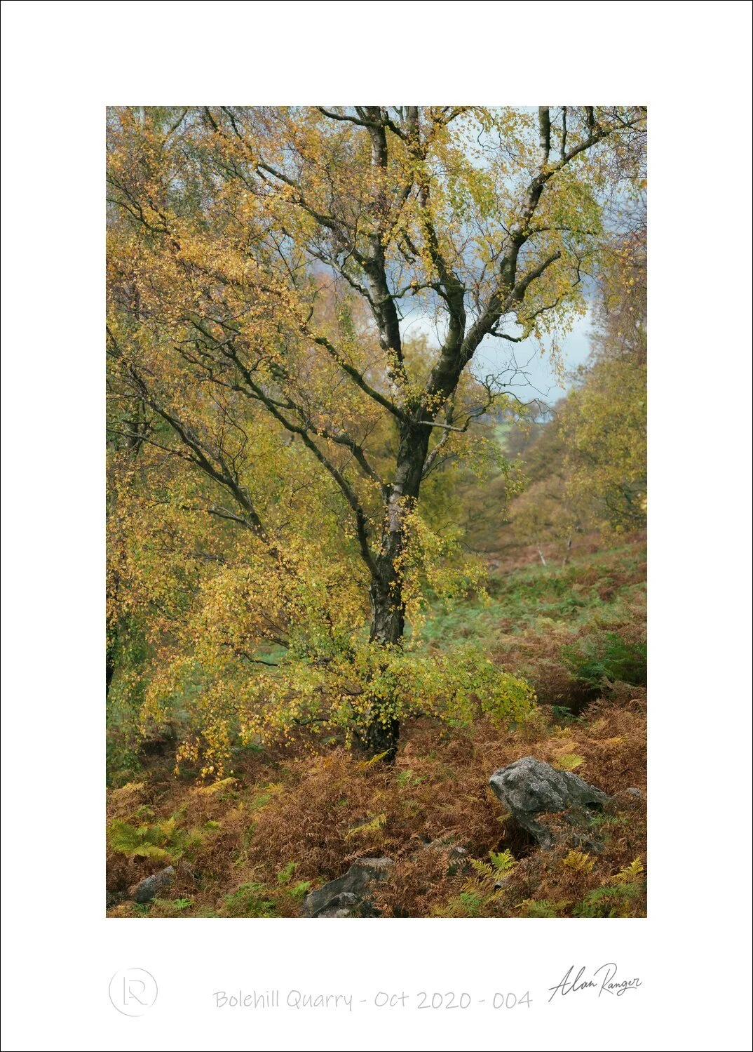 Bolehill Quarry - Oct 2020 - 004_.jpg