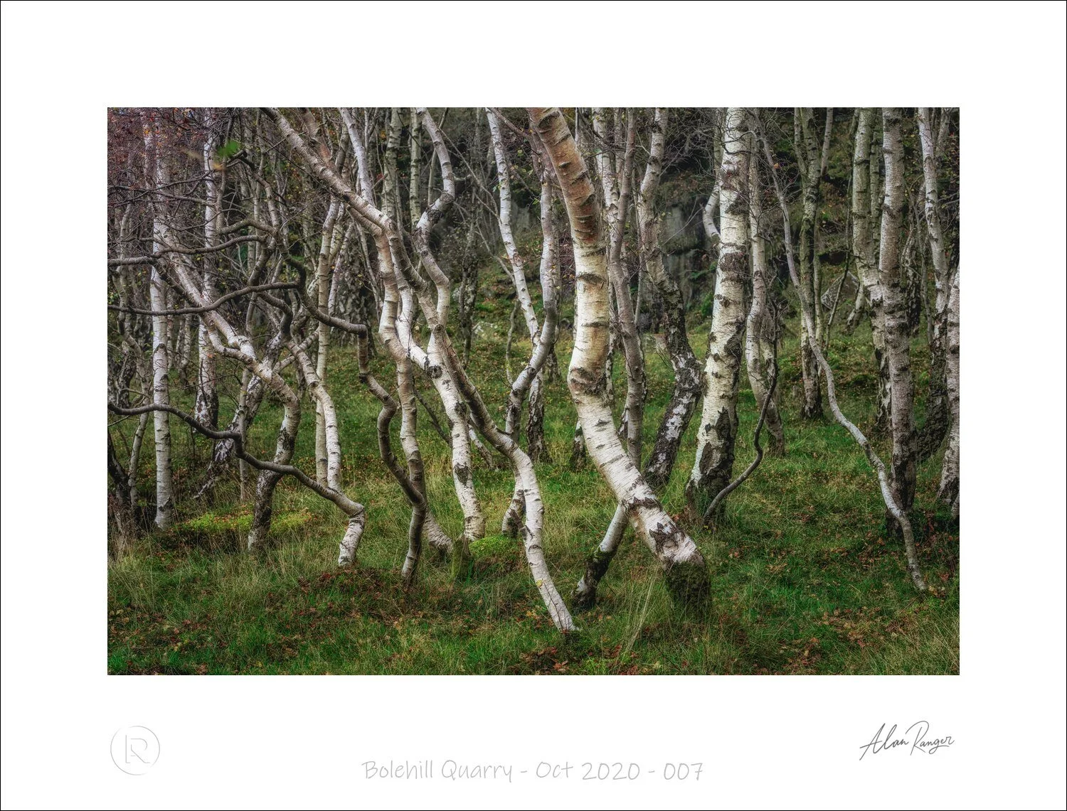 Bolehill Quarry - Oct 2020 - 007.jpg