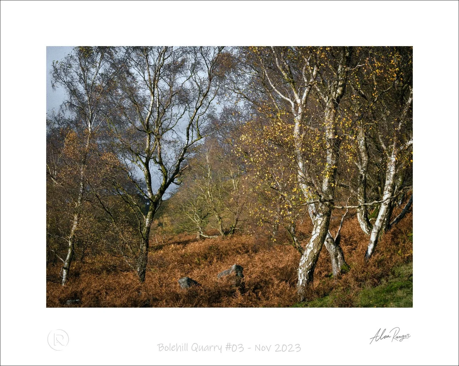 Bolehill Quarry #03 - Nov 2023.jpg
