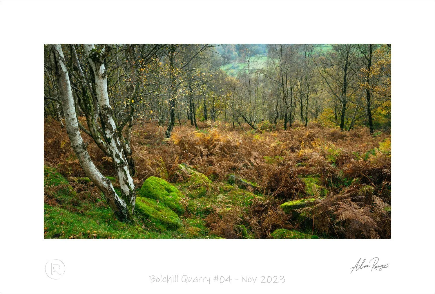 Bolehill Quarry #04 - Nov 2023.jpg