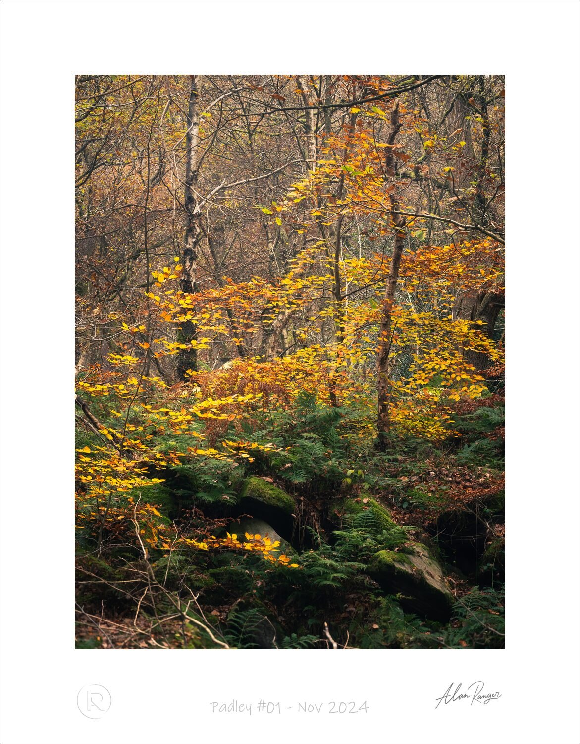 Padley #01 - Nov 2024.jpg
