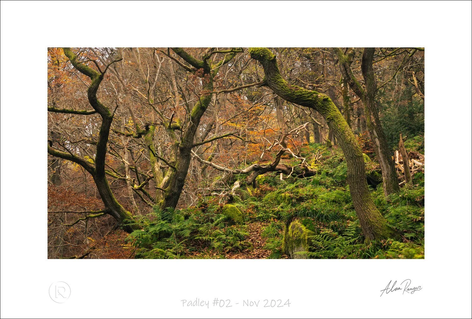 Padley #02 - Nov 2024.jpg