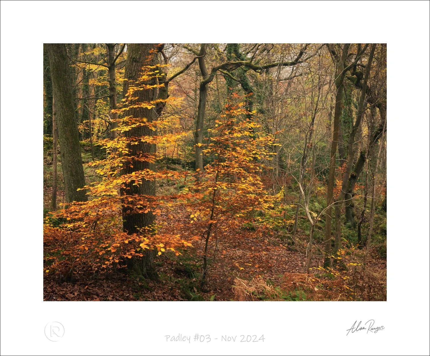 Padley #03 - Nov 2024.jpg