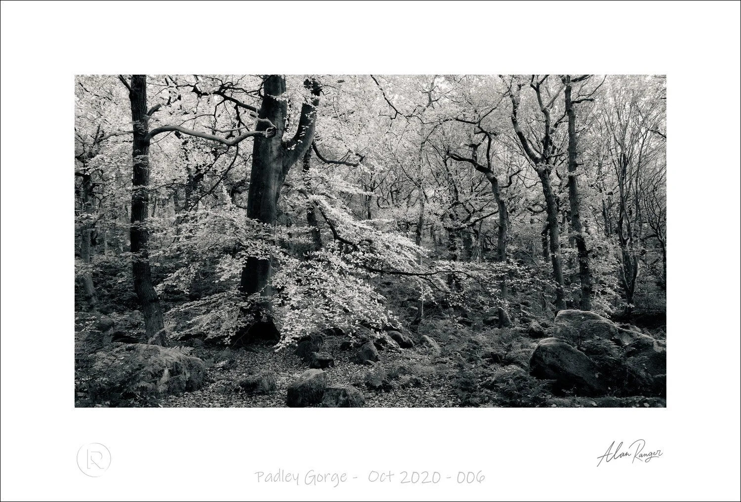 Padley Gorge -  Oct 2020 - 006.jpg