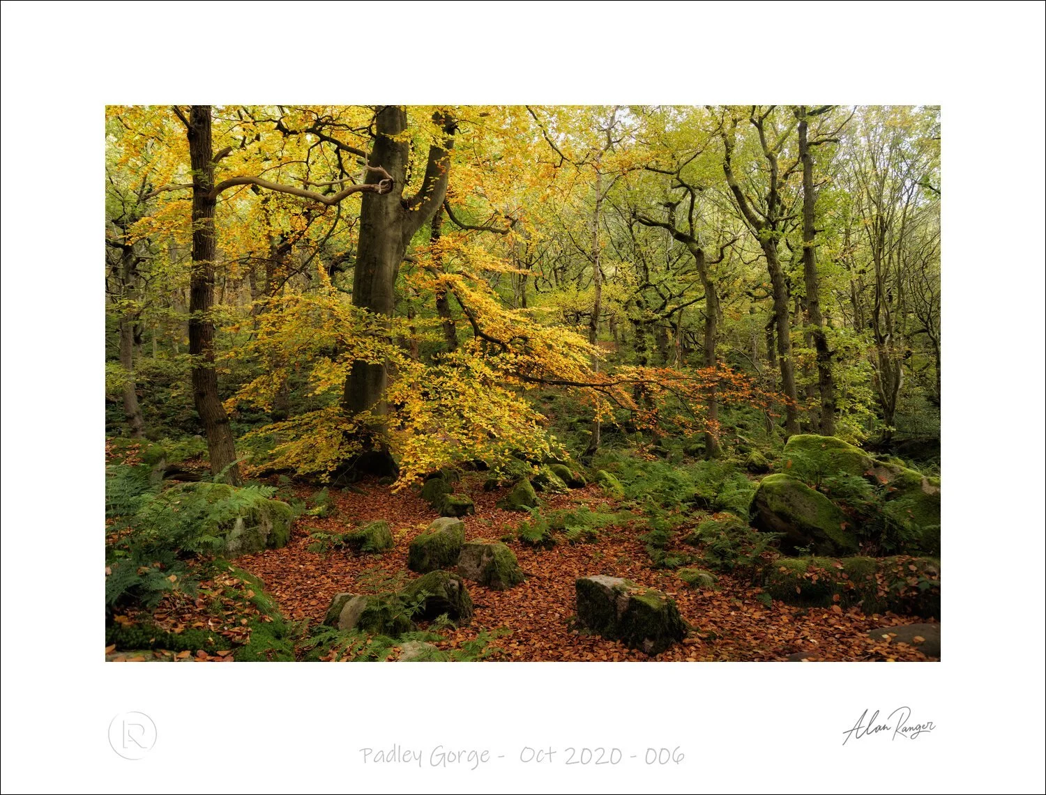 Padley Gorge -  Oct 2020 - 006-2.jpg