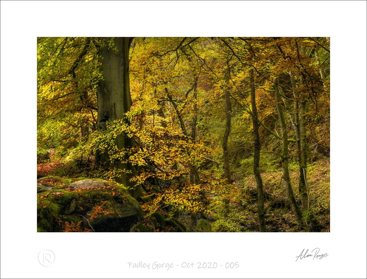 Padley Gorge - Oct 2020 - 005.jpg