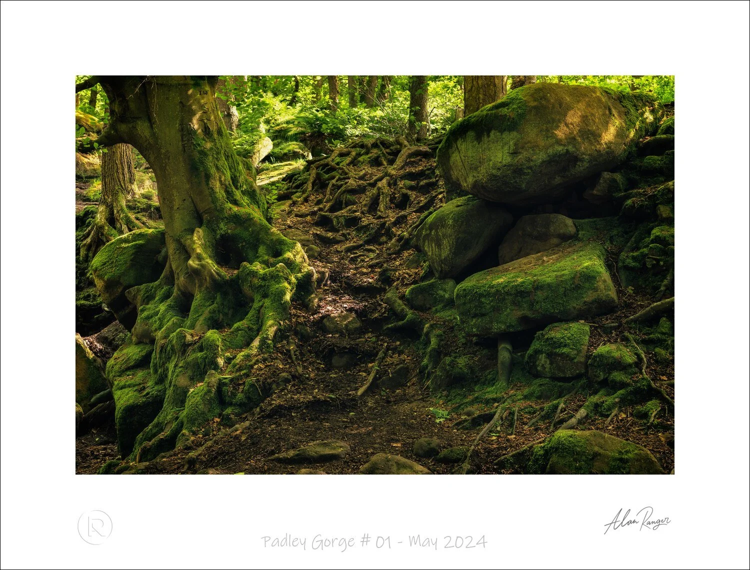 Padley Gorge # 01 - May 2024.jpg