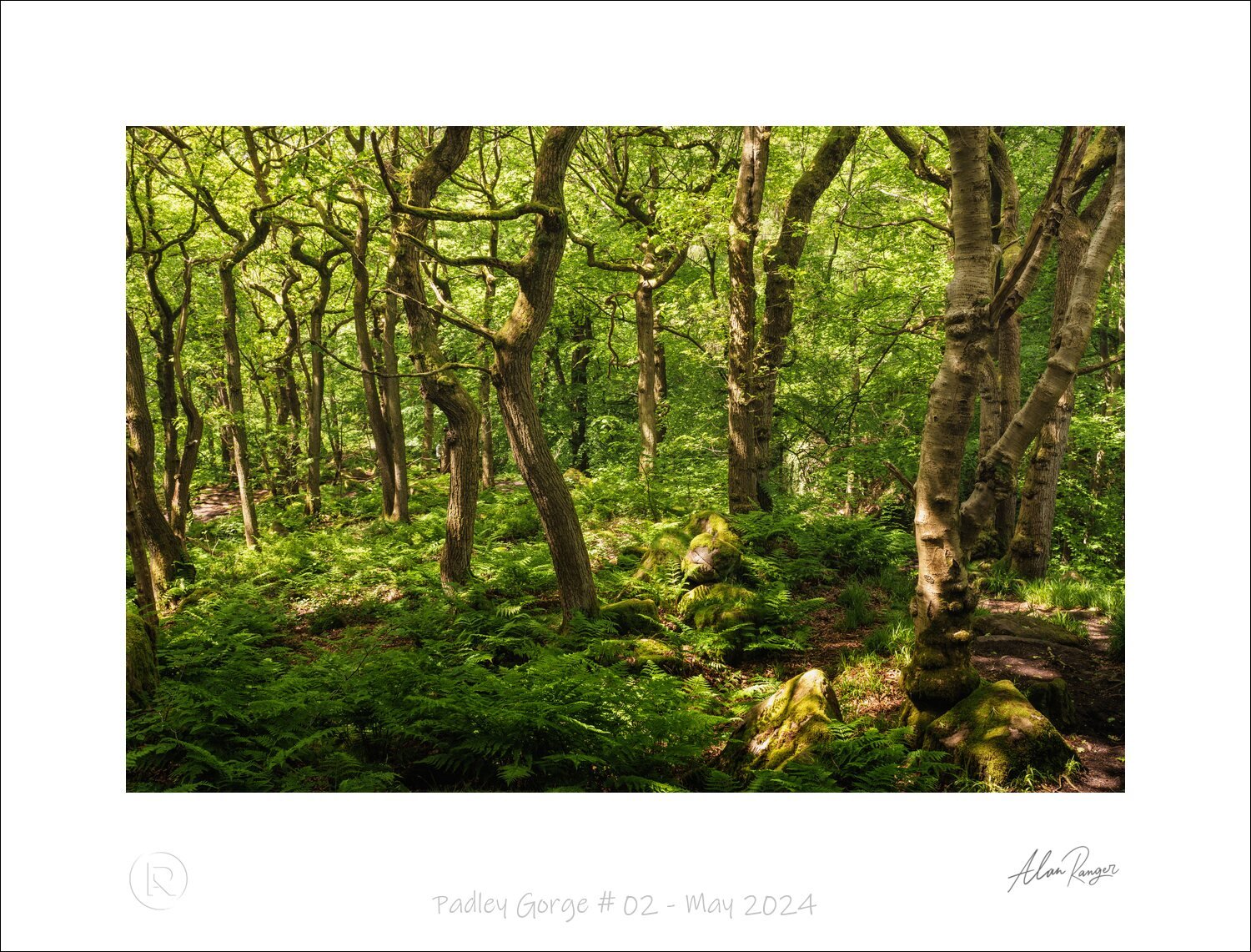 Padley Gorge # 02 - May 2024.jpg