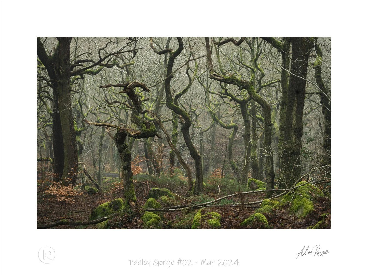 Padley Gorge #02 - Mar 2024.jpg