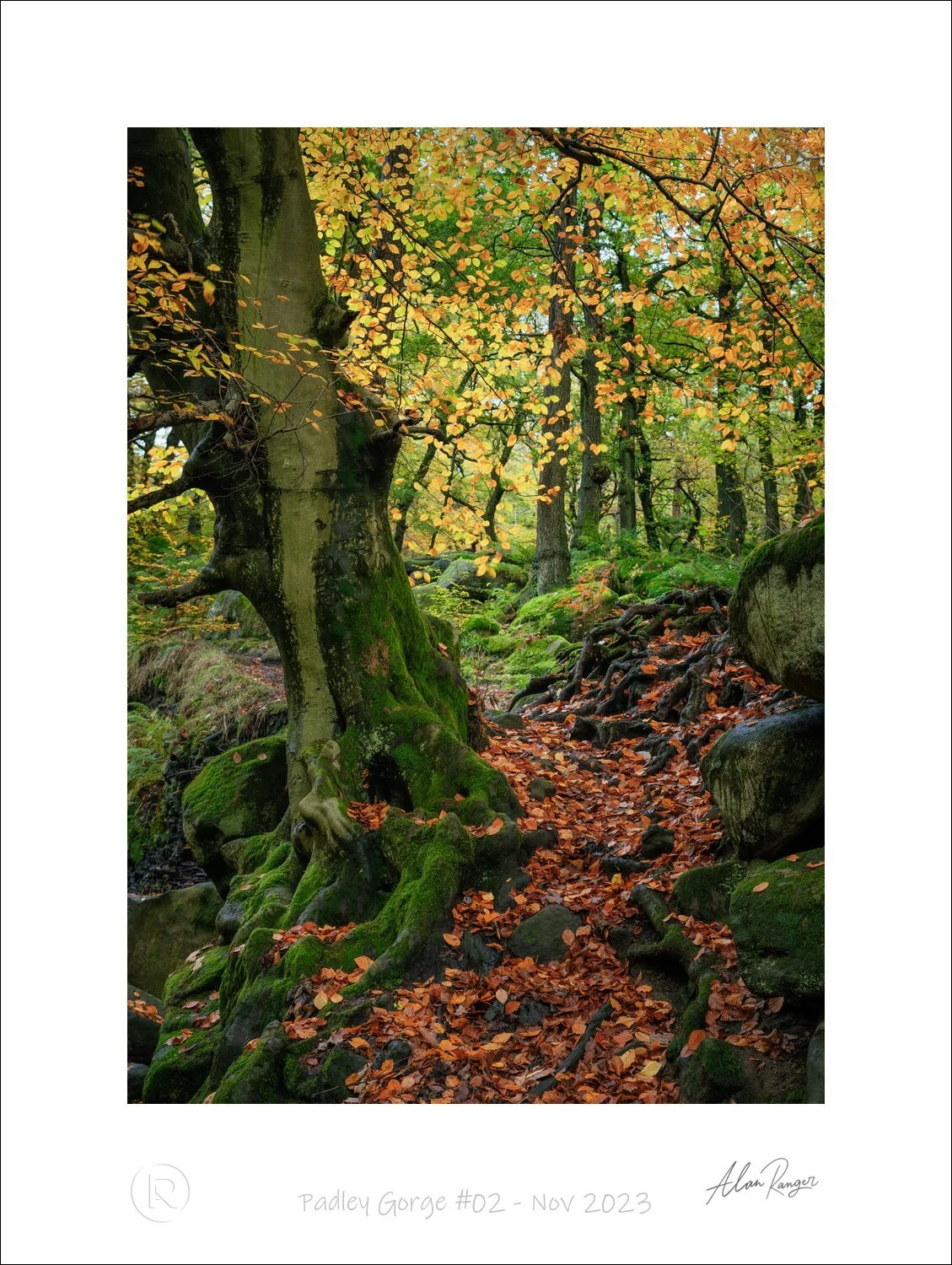 Padley Gorge #02 - Nov 2023.jpg