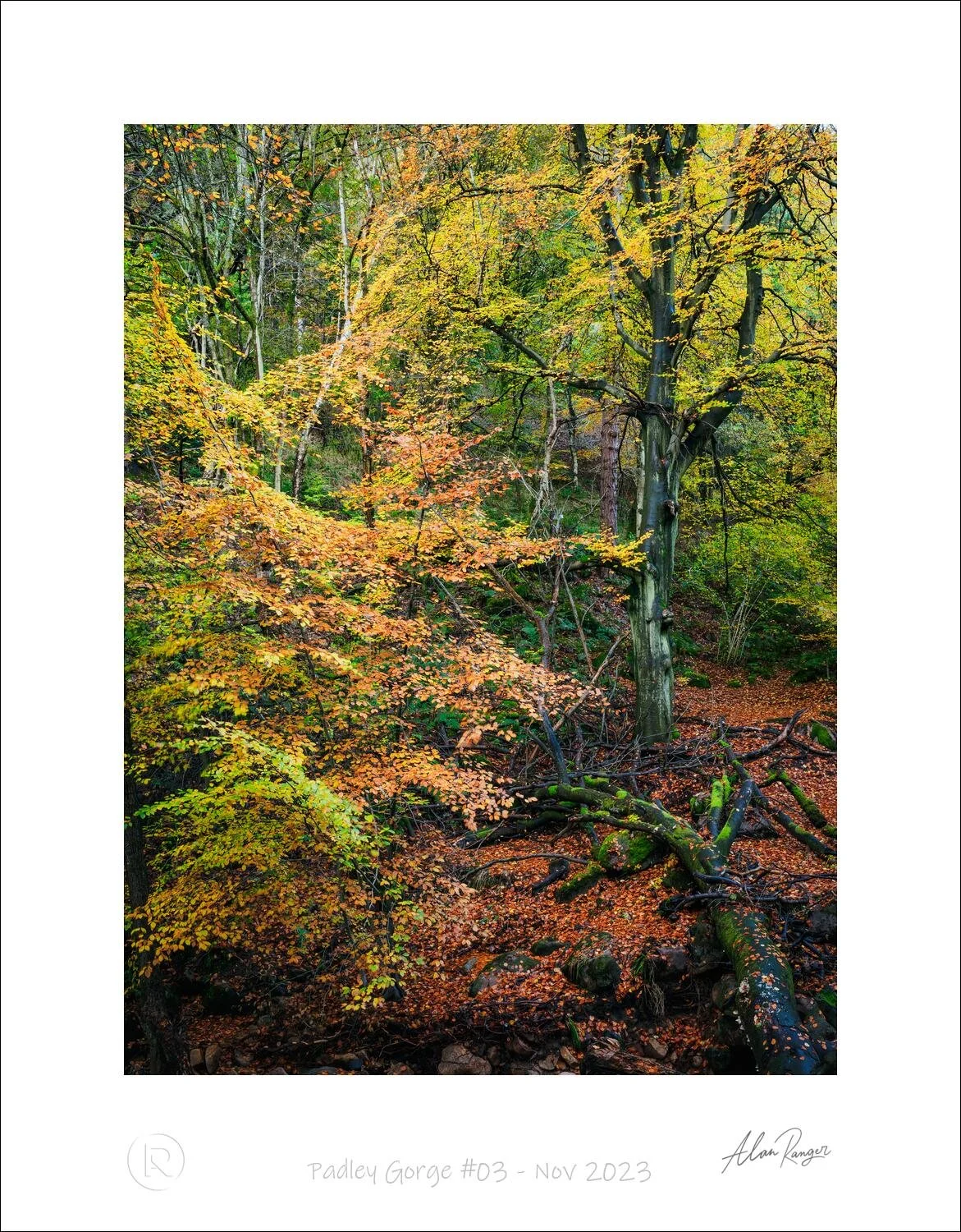 Padley Gorge #03 - Nov 2023.jpg