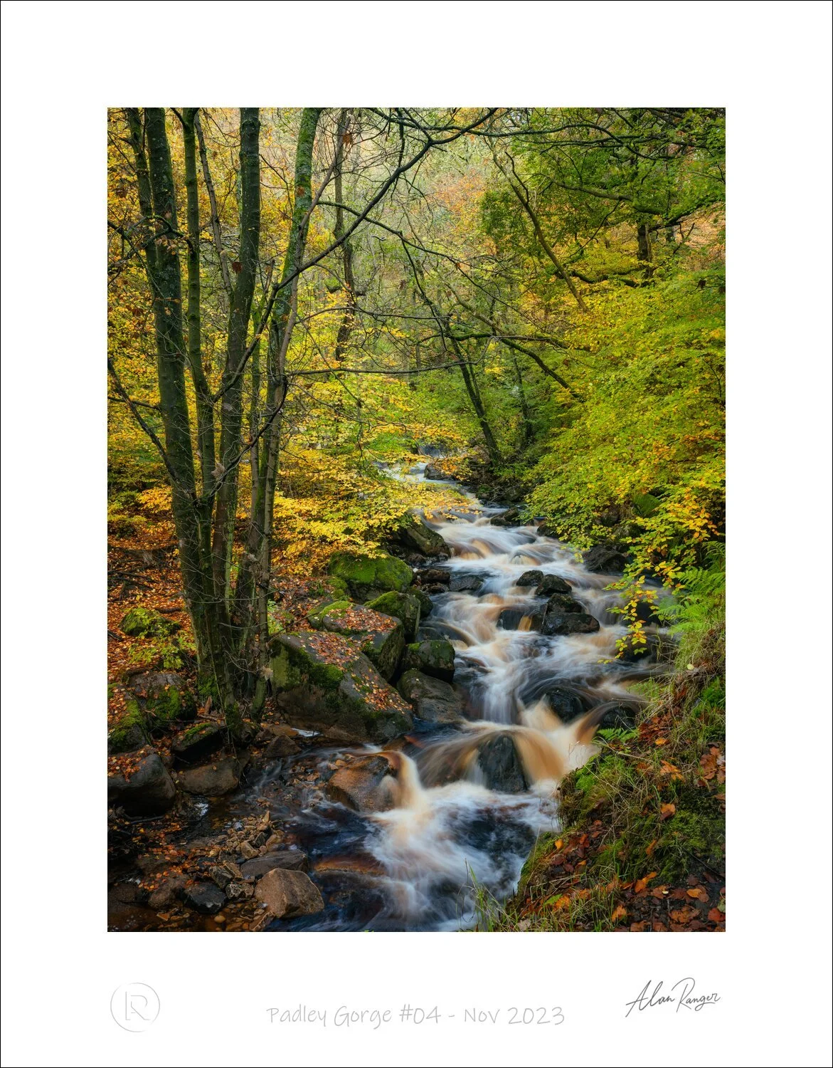 Padley Gorge #04 - Nov 2023.jpg