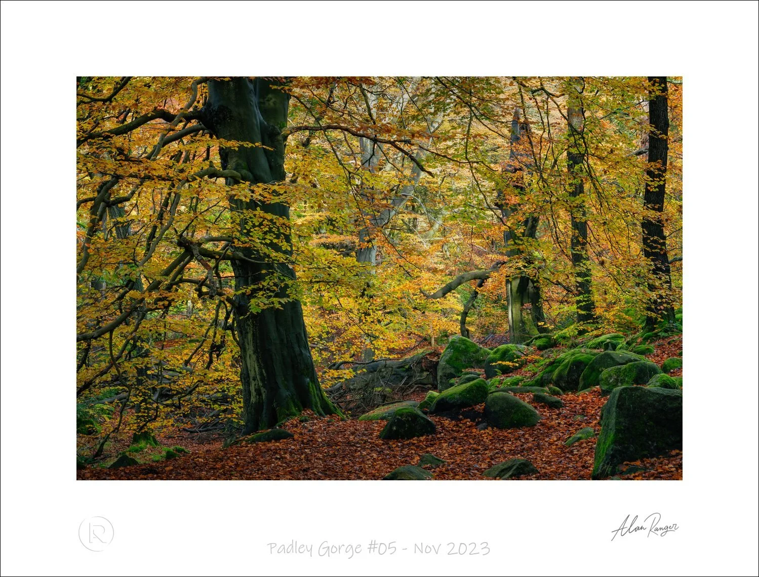 Padley Gorge #05 - Nov 2023.jpg