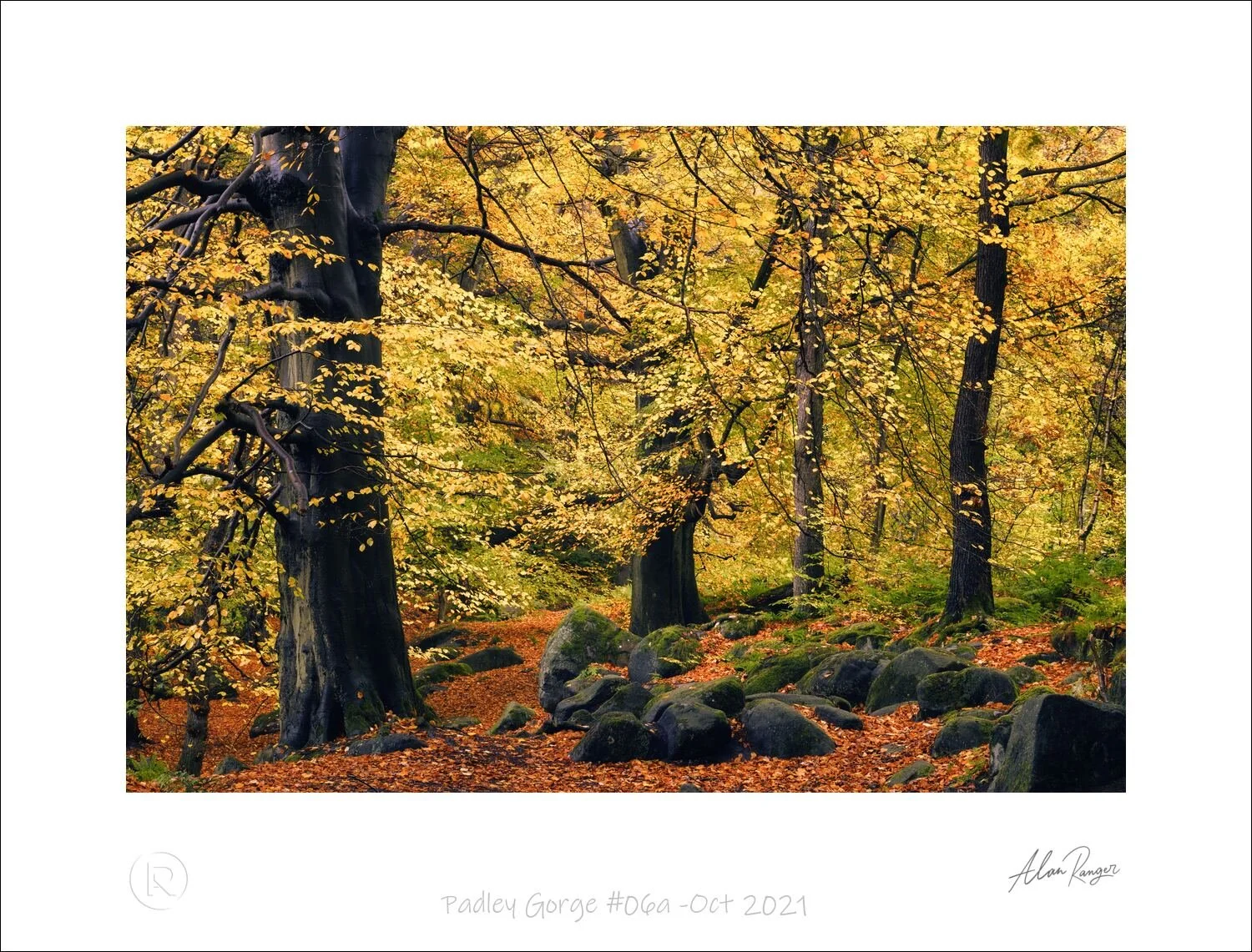Padley Gorge #06a -Oct 2021.jpg
