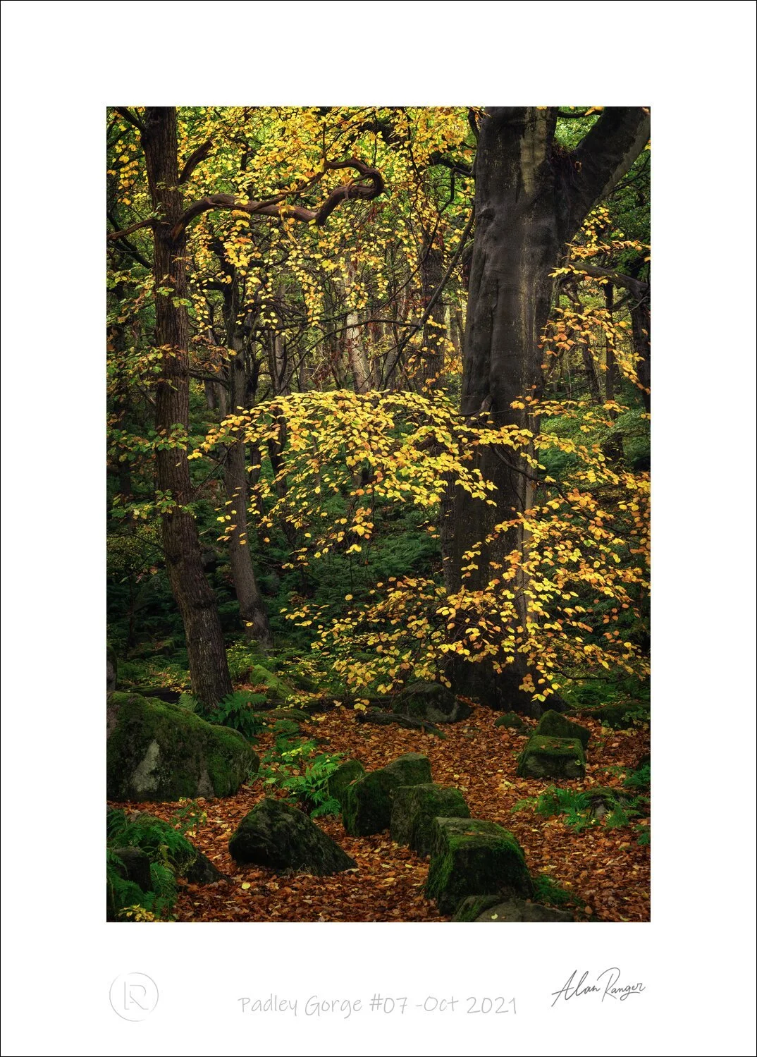Padley Gorge #07 -Oct 2021.jpg